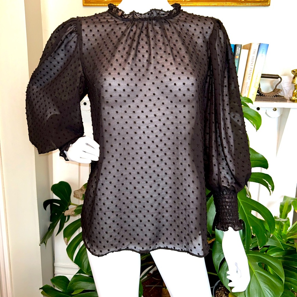 Black Sheer Dotted Swiss Top